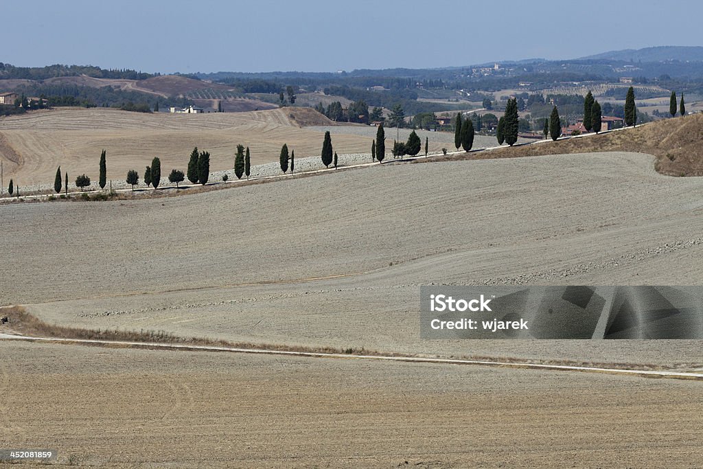 Paisagem da Toscana - Foto de stock de Agricultura royalty-free