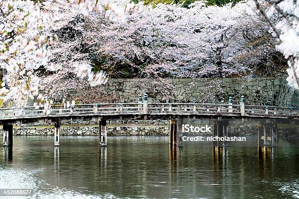 Foto de Bom Fundo De Sakura e mais fotos de stock de Cabeça da flor - Cabeça da flor, Caindo, Caule