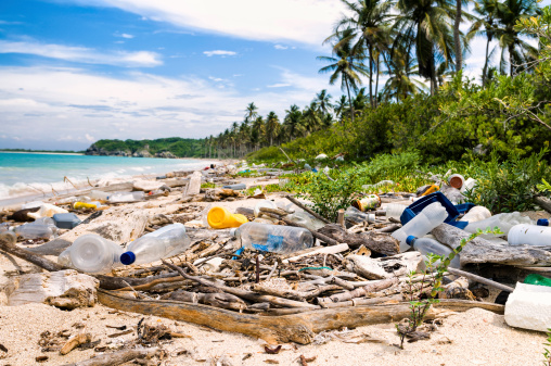 Dumping-Total al mar en una playa Tropical de contaminación photo