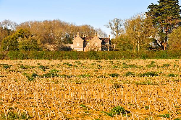 istock Dry Land in Glastonbury 452092601