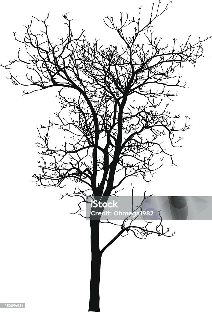 Dead albero senza foglie illustrazione vettoriale di schizzo. - arte vettoriale royalty-free di Albero
