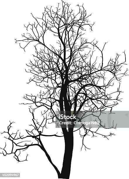방전됨 나무 없이요 Sketched 신호등을 지나 벡터 일러스트레이션 나무에 대한 스톡 벡터 아트 및 기타 이미지 - 나무, 나뭇가지, 죽음-물리적 묘사