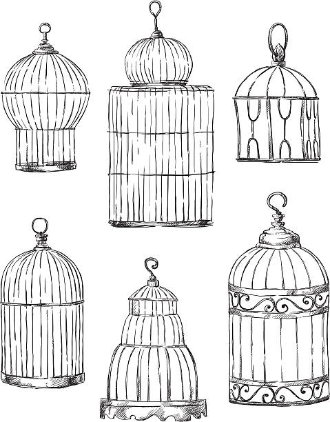 set of different cages, hand-drawn - 鳥籠 插圖 幅插畫檔、美工圖案、卡通及圖標