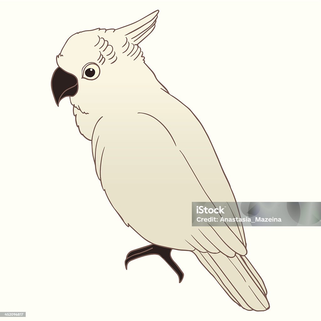 Cacatua parrot ilustração. - Vetor de Animal royalty-free
