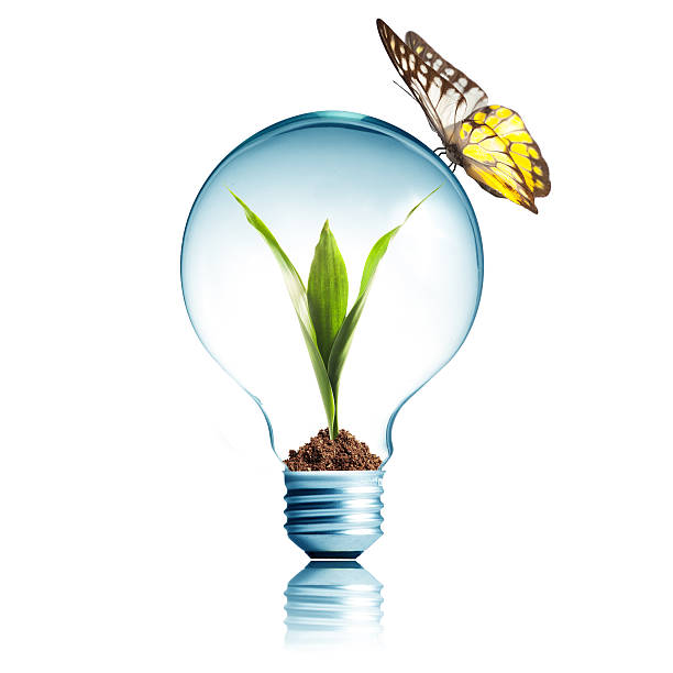 istock Light Bulb with green plant inside and butterfly on top 452096917