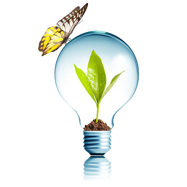 istock Light Bulb with green plant inside and butterfly on top 452096931