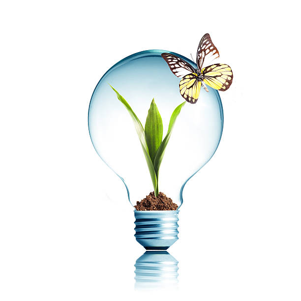 istock Light Bulb with green plant inside and butterfly on top 452097007