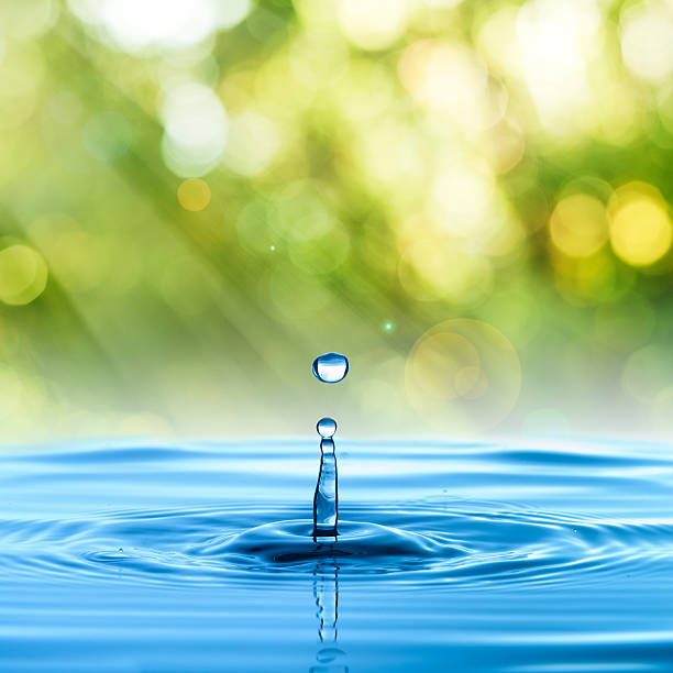 水ドロップ - nature ripple summer plant ストックフォトと画像
