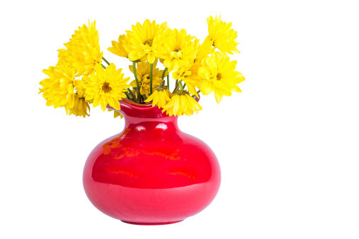 Yellow flower arrangement in a red vase isolated on a white background.