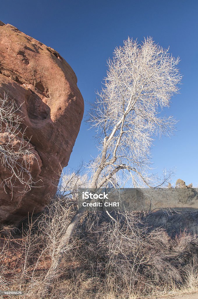 Red Tree Rock White Tree Red Rock Stock Photo - Download Image Now - Activity, Africa ...
