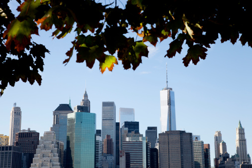 The New York, Downtown Manhattan skyline on a clear day with beautiful, brightly coloured trees in the foregound.