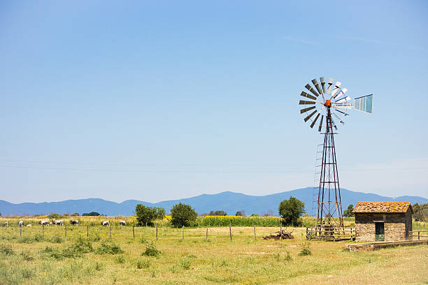 国の風景 - windmill cultivated land crop day ストックフォトと画像