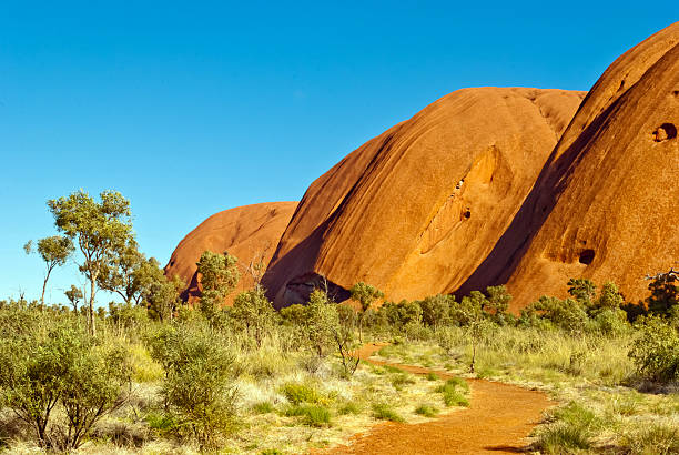 istock Wild nature in the Australian outback 452107493