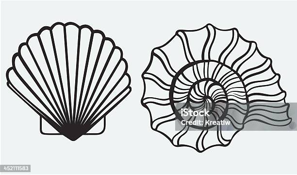 Sea Shells Stock Illustration - Download Image Now - Animal, Animal Markings, Animal Shell