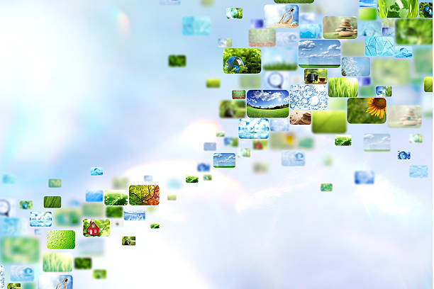 Collage of images