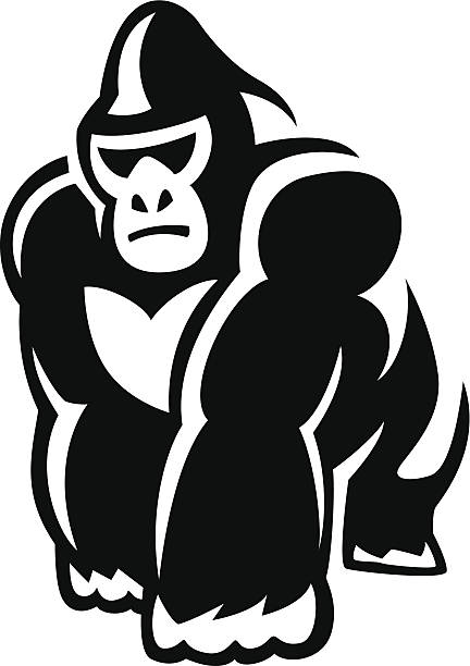 walking gorilla - silberrucken gorilla stock-grafiken, -clipart, -cartoons und -symbole