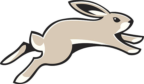Running Rabbit Stock Illustration - Download Image Now - Rabbit - Animal,  Baby Rabbit, Vector - iStock