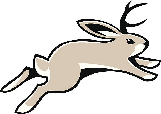 Jackalope Images Illustrations, Royalty-Free Vector Graphics & Clip Art