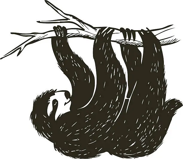 Vector illustration of sketchy sloth