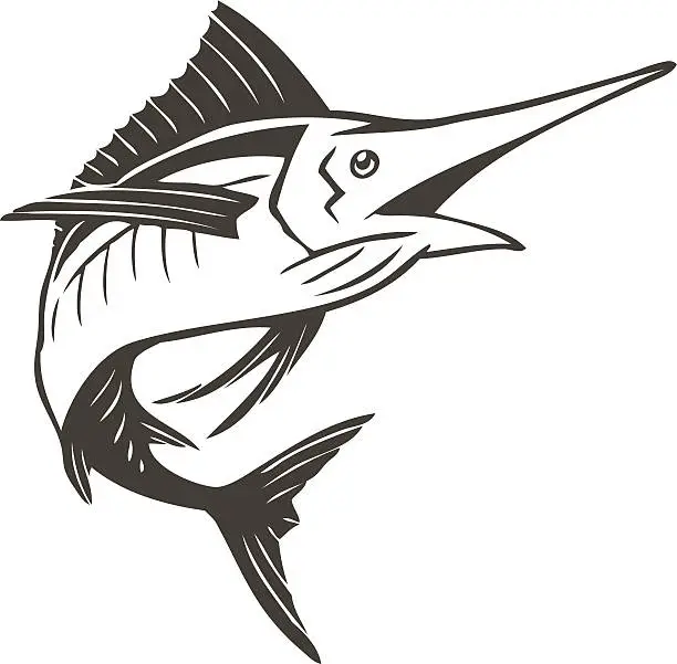 Vector illustration of swordfish sketch