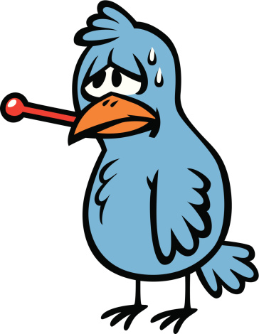 cartoon bird with the bird flu