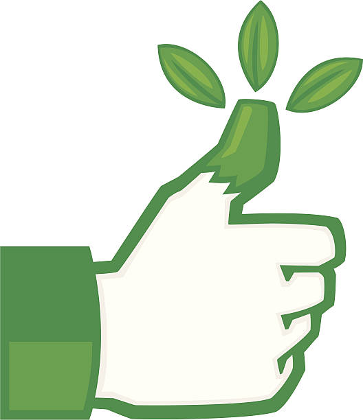 green thumb thumbs up hand with a green thumb green fingers stock illustrations