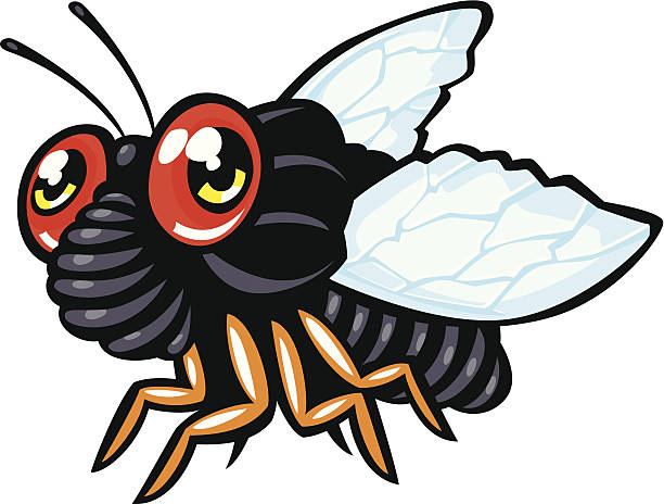 cartoon cicada cartoon illustration of a cicada cicada stock illustrations