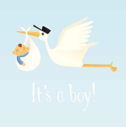 A vector illustration of a stork carrying a baby boy. Lettering is hand drawn and is on its own layer, making it easy to remove. Linear and radial gradients used. No meshes.
