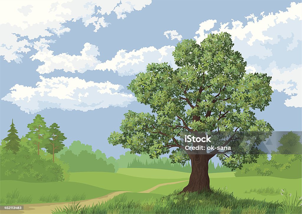 Sommer Landschaft, Wald und oak tree - Lizenzfrei Ast - Pflanzenbestandteil Vektorgrafik