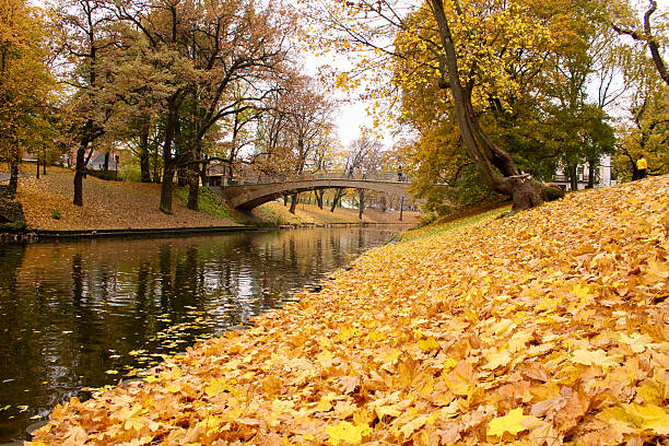 istock Pilsetas Kanals with autumn leaves in Riga 452126343