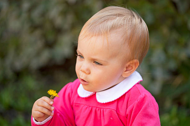 istock cute little child blowing the flower 452142953