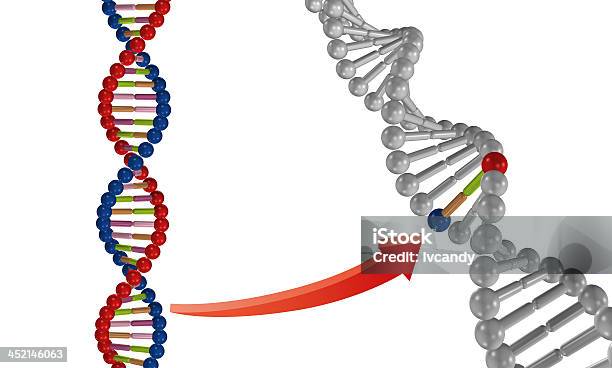 Genetisch Veränderten Stockfoto und mehr Bilder von Translationsprozess - Translationsprozess, Übersetzung, Biologie