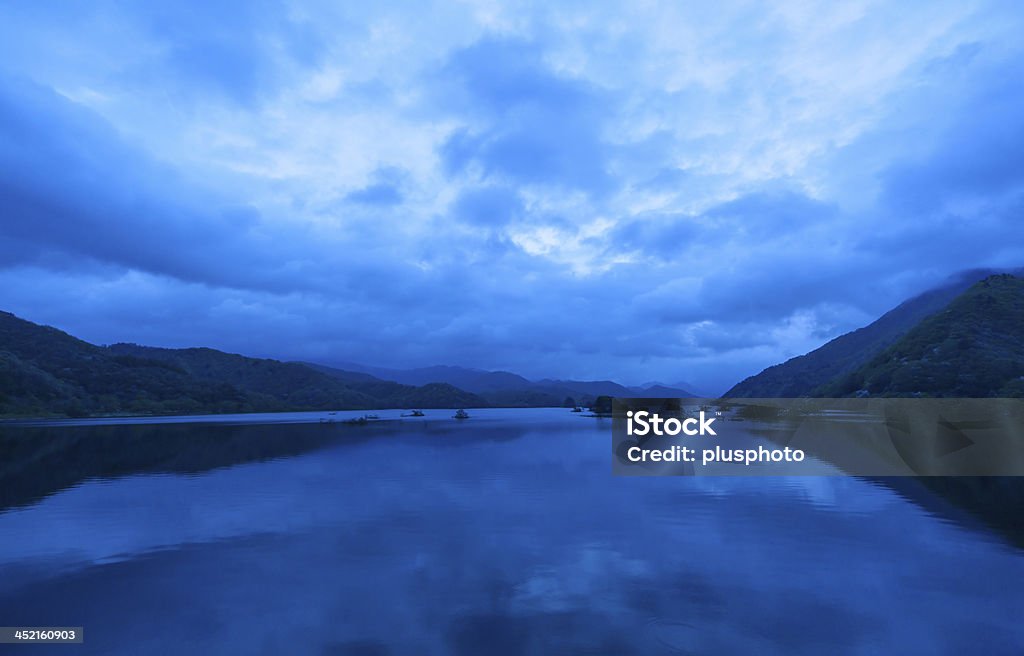 Hermoso mañana y de un árbol en el lago - Foto de stock de Agua libre de derechos