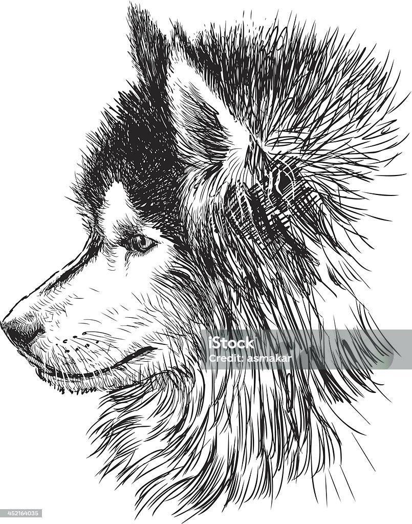 Profilo di un cane - arte vettoriale royalty-free di Animale da compagnia