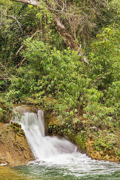 istock Waterfall in Bonito, Mato Grosso do Sul 452167133