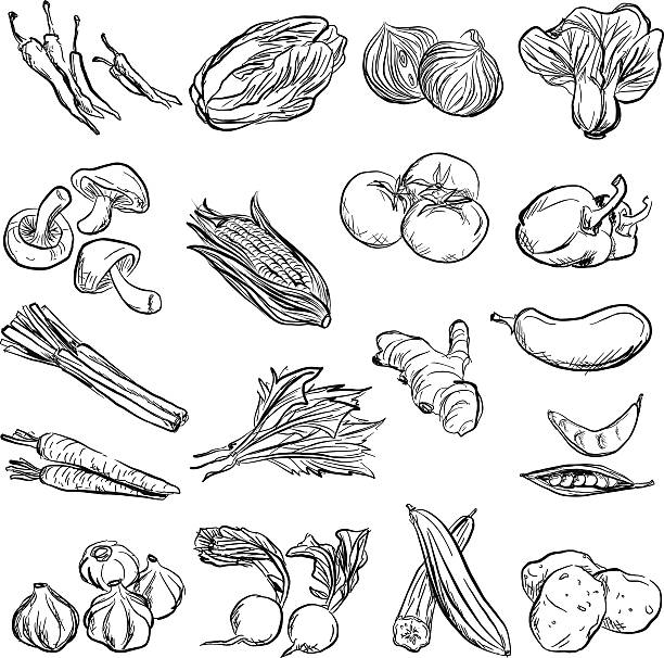 ilustraciones, imágenes clip art, dibujos animados e iconos de stock de vegetales en estilo de carbón boceto - healthy eating food vegetable fungus