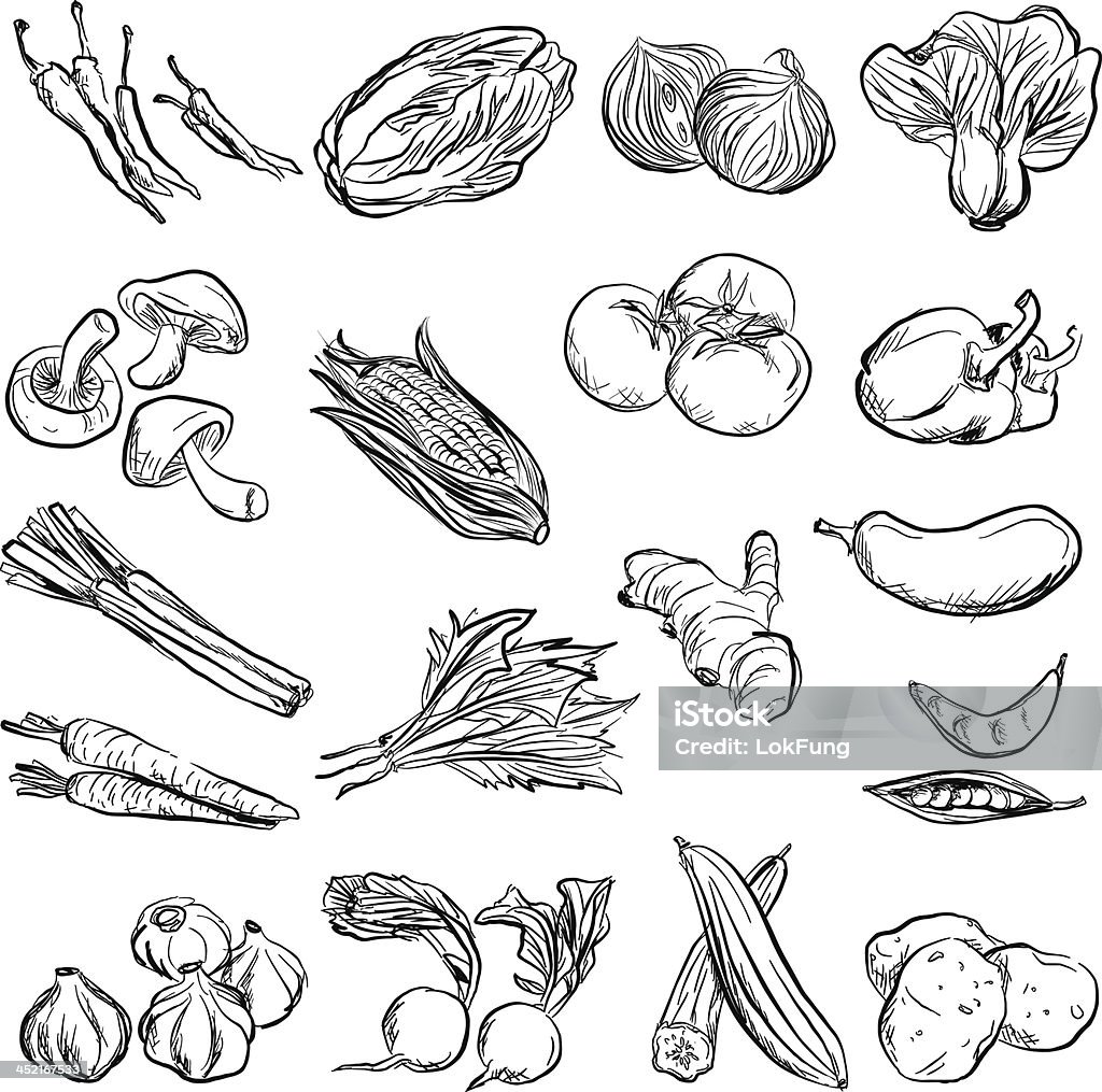 Vegetable in charcoal sketch style Vegetable stock vector