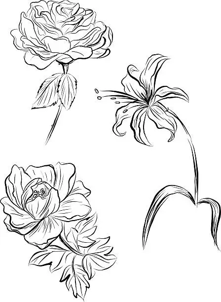 Vector illustration of Flowers in sketch style