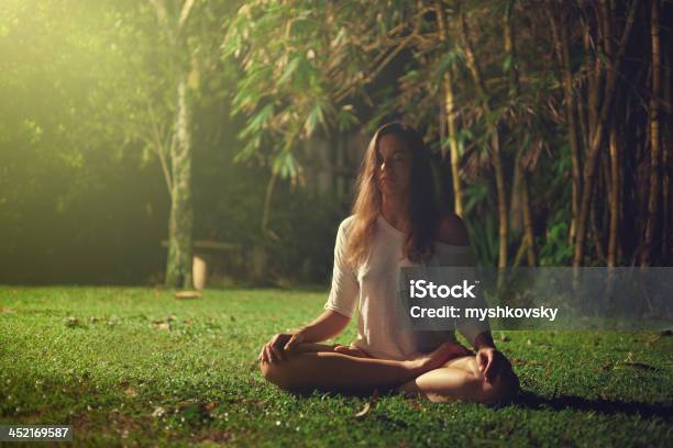 Photo libre de droit de Yoga Exercice Au Sri Lanka banque d'images et plus d'images libres de droit de Yoga - Yoga, Nature, Forêt