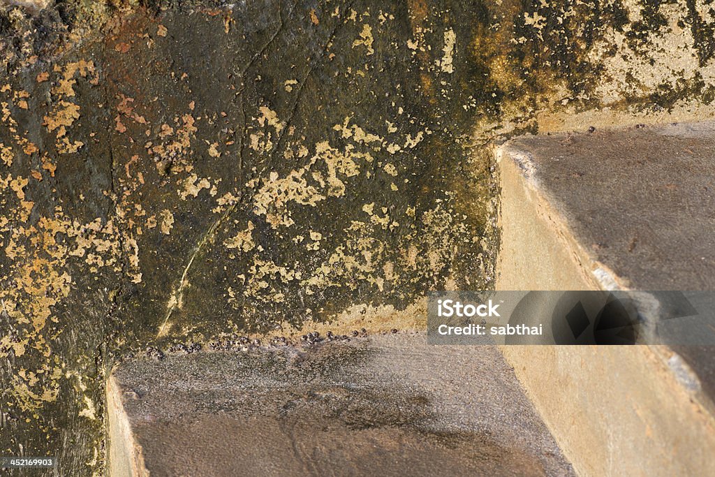 Liquen cemento de agua marina - Foto de stock de Abstracto libre de derechos