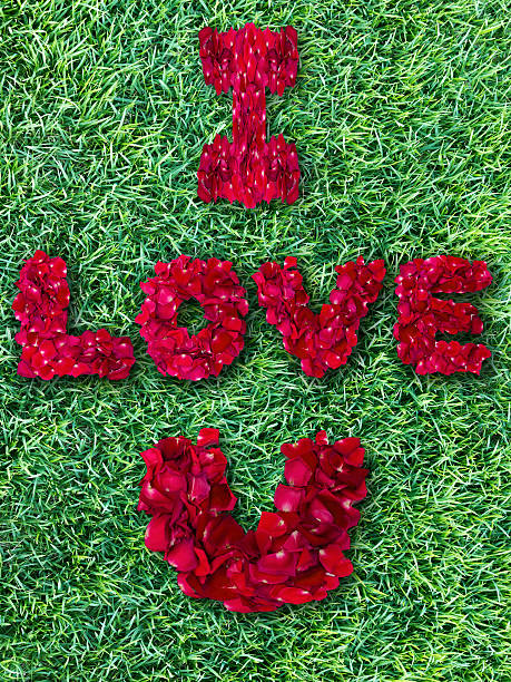 istock Love word from red rose petals on green grass field 452170399