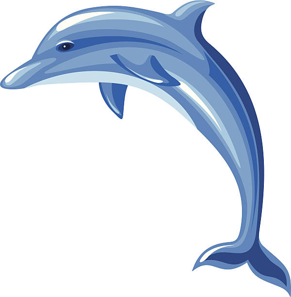 ドルフィンます。ベクトルイラスト。 - dolphin white background isolated fish点のイラスト素材／クリップアート素材／マンガ素材／アイコン素材