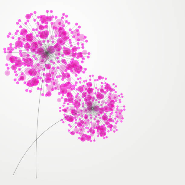 ilustraciones, imágenes clip art, dibujos animados e iconos de stock de abstracto colorido fondo con flores. ilustración vectorial - hibiscus single flower flower red