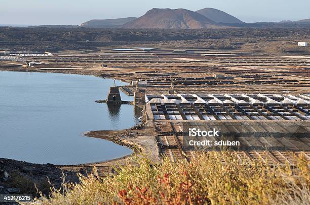 Salinas De Janubio - Fotografie stock e altre immagini di Dissalazione - Dissalazione, Acqua, Spagna