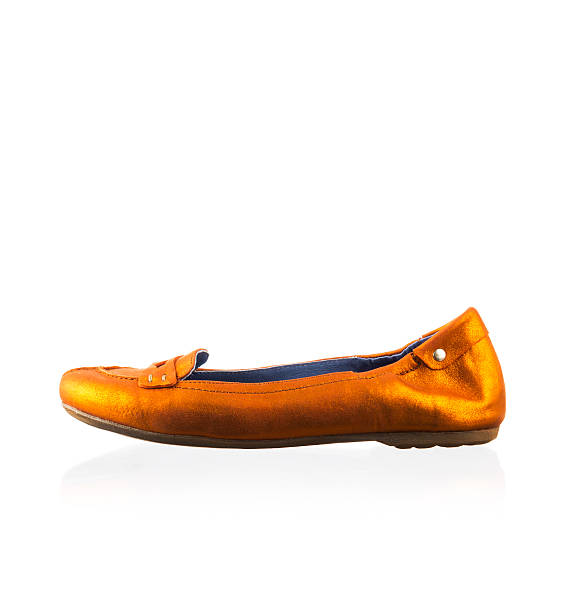istock Fashionable women shoe 452177163