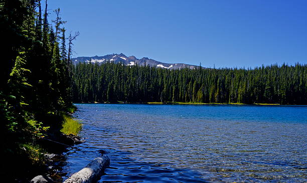 Diamond Peak's Yoran Lake Central Oregon's Cascade Range. willamette national forest stock pictures, royalty-free photos & images