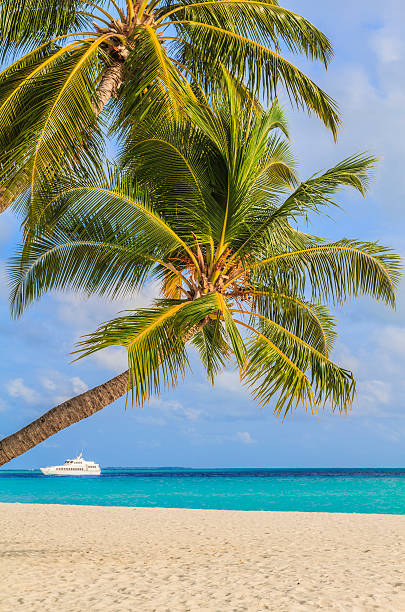 istock Perfect tropical island paradise beach at Maldives. 452178075