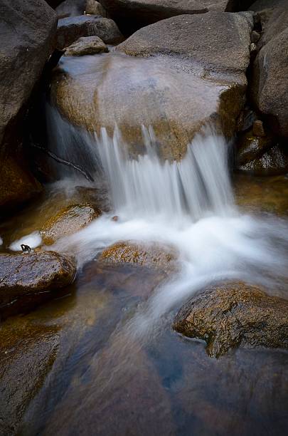 torrent de la montagne, saint vrain canyon, dans le colorado - st vrain photos et images de collection