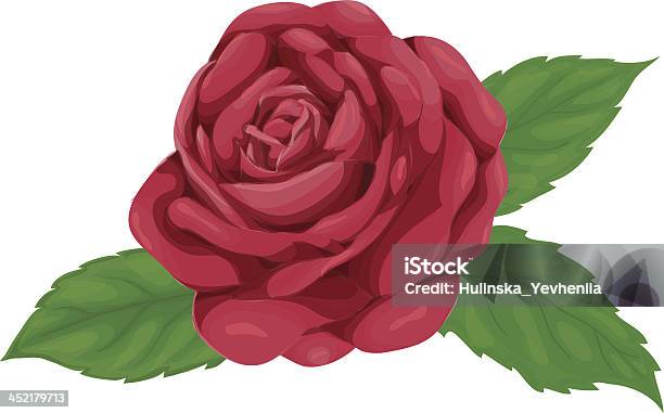 Różowa Róża Z Liści Na Białym Tle - Stockowe grafiki wektorowe i więcej obrazów Akwarela - Akwarela, Bez ludzi, Białe tło