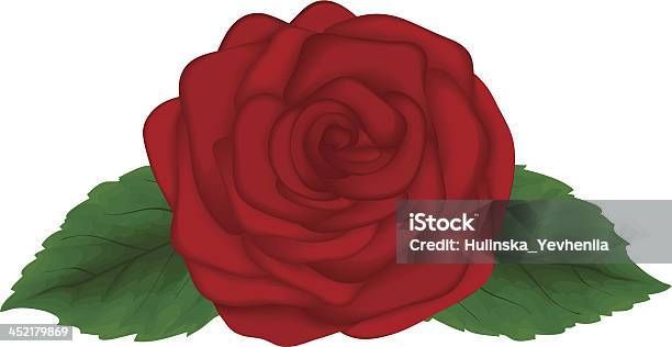 Linda Rosa Vermelha Com Verde Deixa Isolado Em Fundo Branco - Arte vetorial de stock e mais imagens de Amor